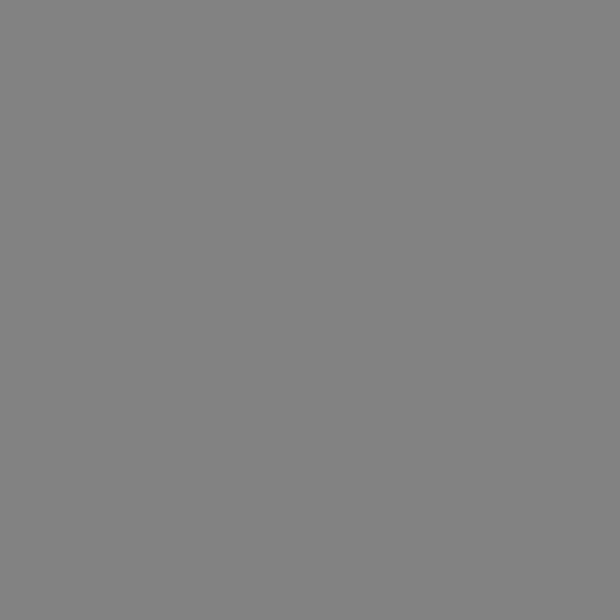 Dupli-Color EBTY16007 Perfect Match Automotive Spray Paint - Toyota Graphite Gray Pearl, 1C6 - 8 oz. Aerosol Can