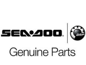 Oem Brp Sea-Doo Spark Reboarding Step 295100642