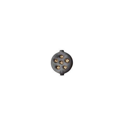 Rv Designer P120, Pollack, 6-Way Socket & Boot Nylon