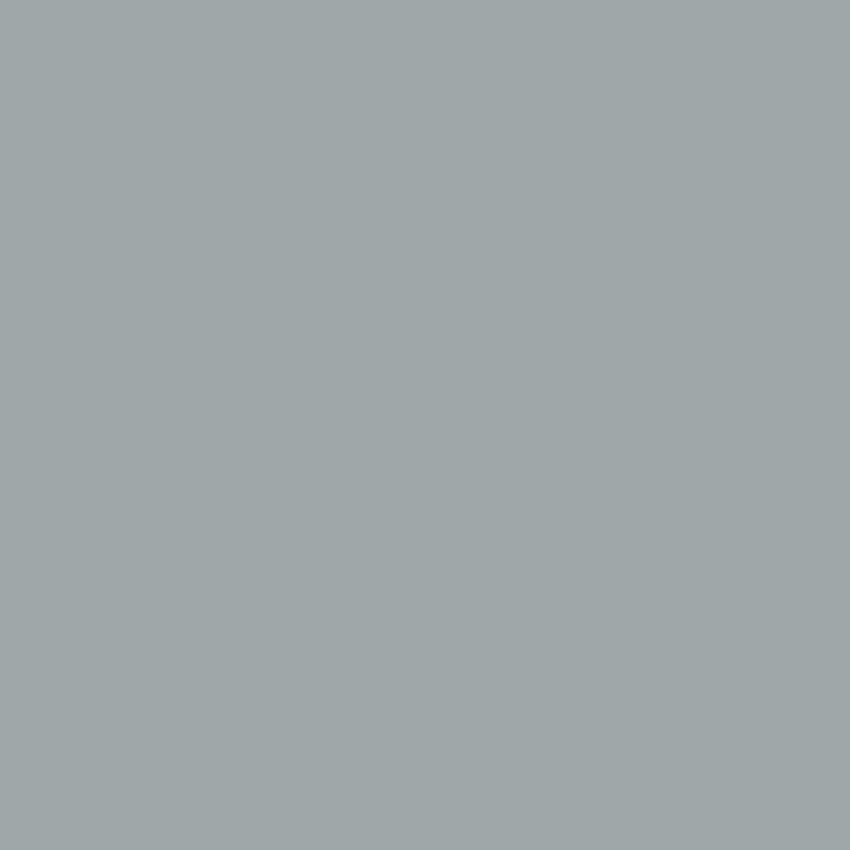 Dupli-Color Ebty16177-6Pk Perfect Match Automotive Spray Paint - Toyota Classic Silver Mica, 1F7 - 8 Oz. Aerosol Can, 6-Pack