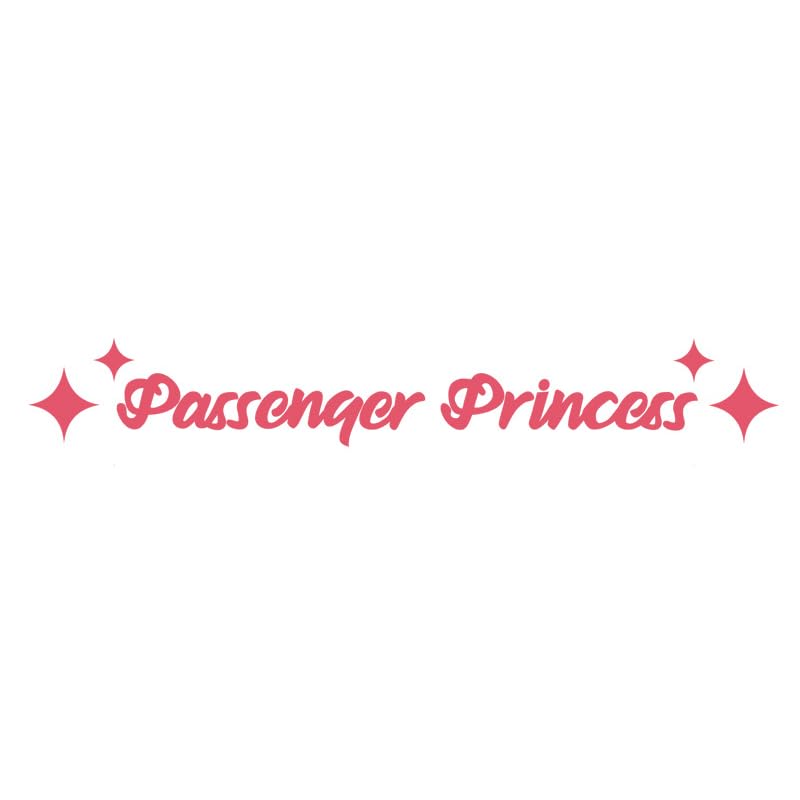 Amioro 5 Pack Passenger Princess Stickers Funny Car Decal Accessories Rearview Mirror Window Sticker For Women (Pink)