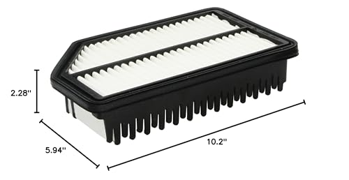 Genuine Hyundai (28113-1R100) Air Filter