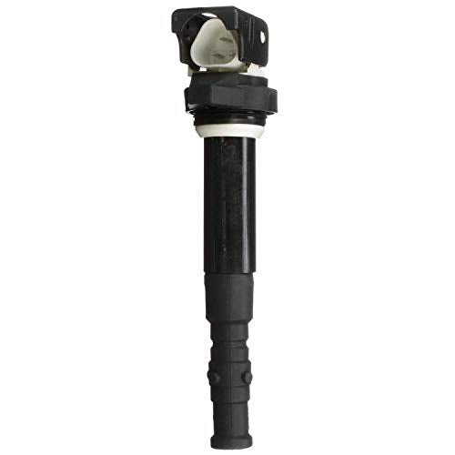Delphi Gn10563 Ignition Coil