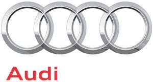 OEM AUDI A8 A6 A4 QUATTRO A3 S8 S6 RS4 Q7 2006-2009 2-5/16'' WHEEL CENTER CAP HUBCAP 8T0-601-170 Hol # 58811