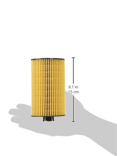 Motorcraft Fl2029 Element And Gasket Oil Filter Kit
