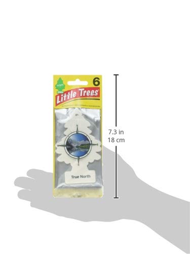 Little Trees Car Air Freshener 6-Pack (True North)