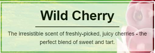 Little Trees Car Air Freshener | Hanging Paper Tree For Home Or Car | Wild Cherry | Pack Of 6