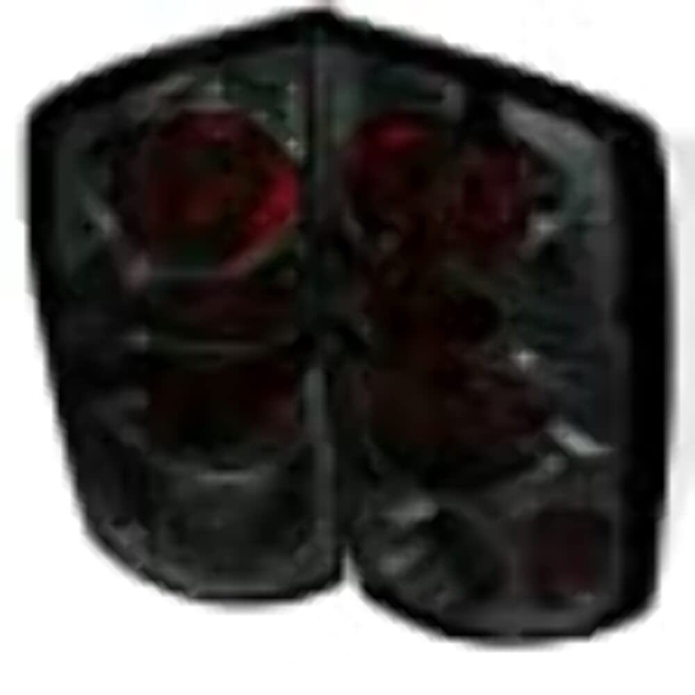 Spyder Auto 5002600 Euro Style Tail Lights Chrome/Smoked