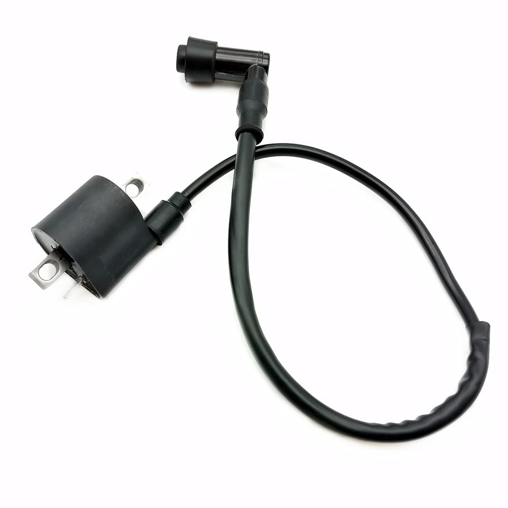 Ignition Coil Motorcycle Accessories for Kawasaki KX60 KX80 KX85 KX125 KDX200 CG125 CG150 CG200 CG250 for Yamaha PW 50 PW50 PW 8
