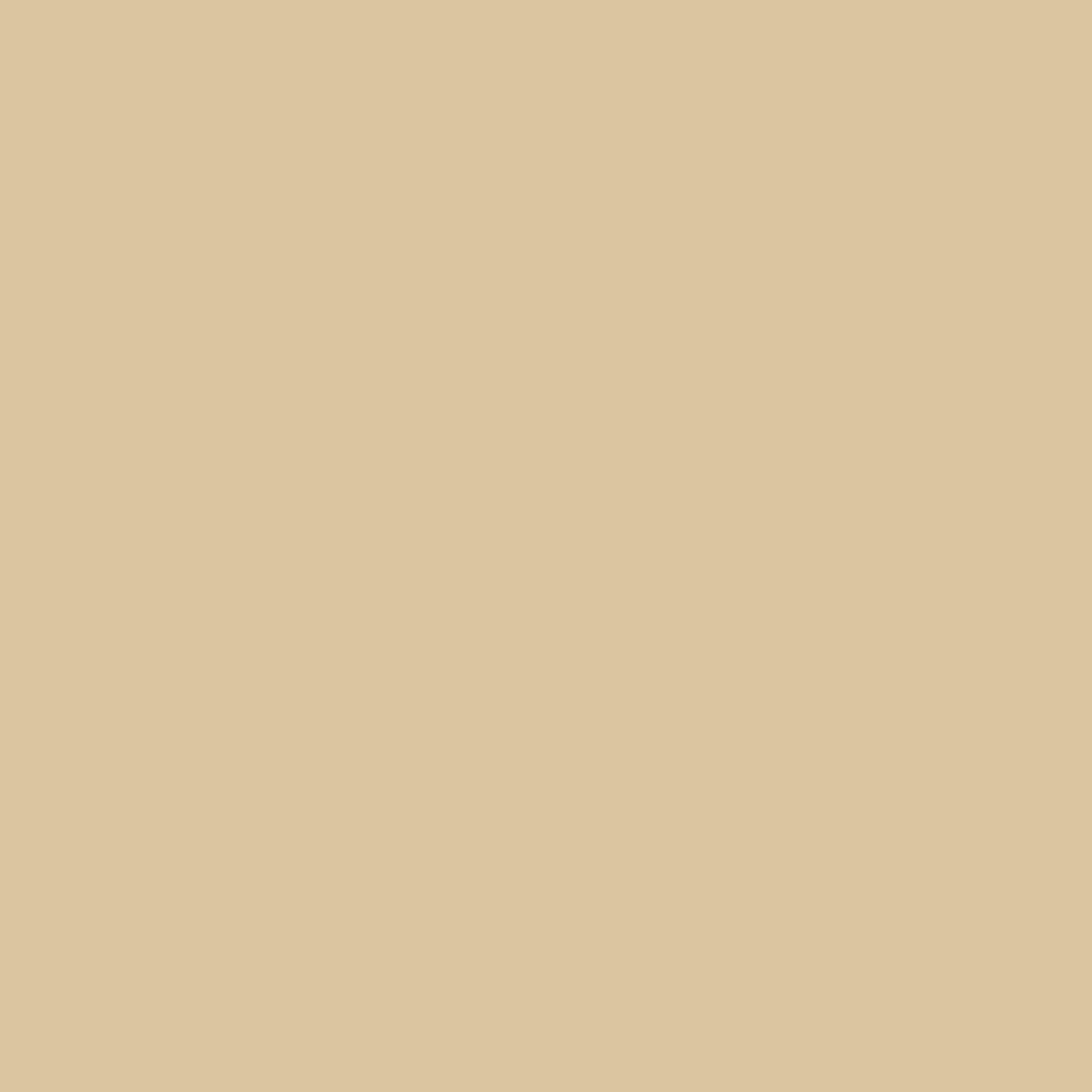 Dupli-Color Ebgm05457 Perfect Match Automotive Spray Paint  General Motors Santa Fe Tan, 60  8 Oz. Aerosol Can