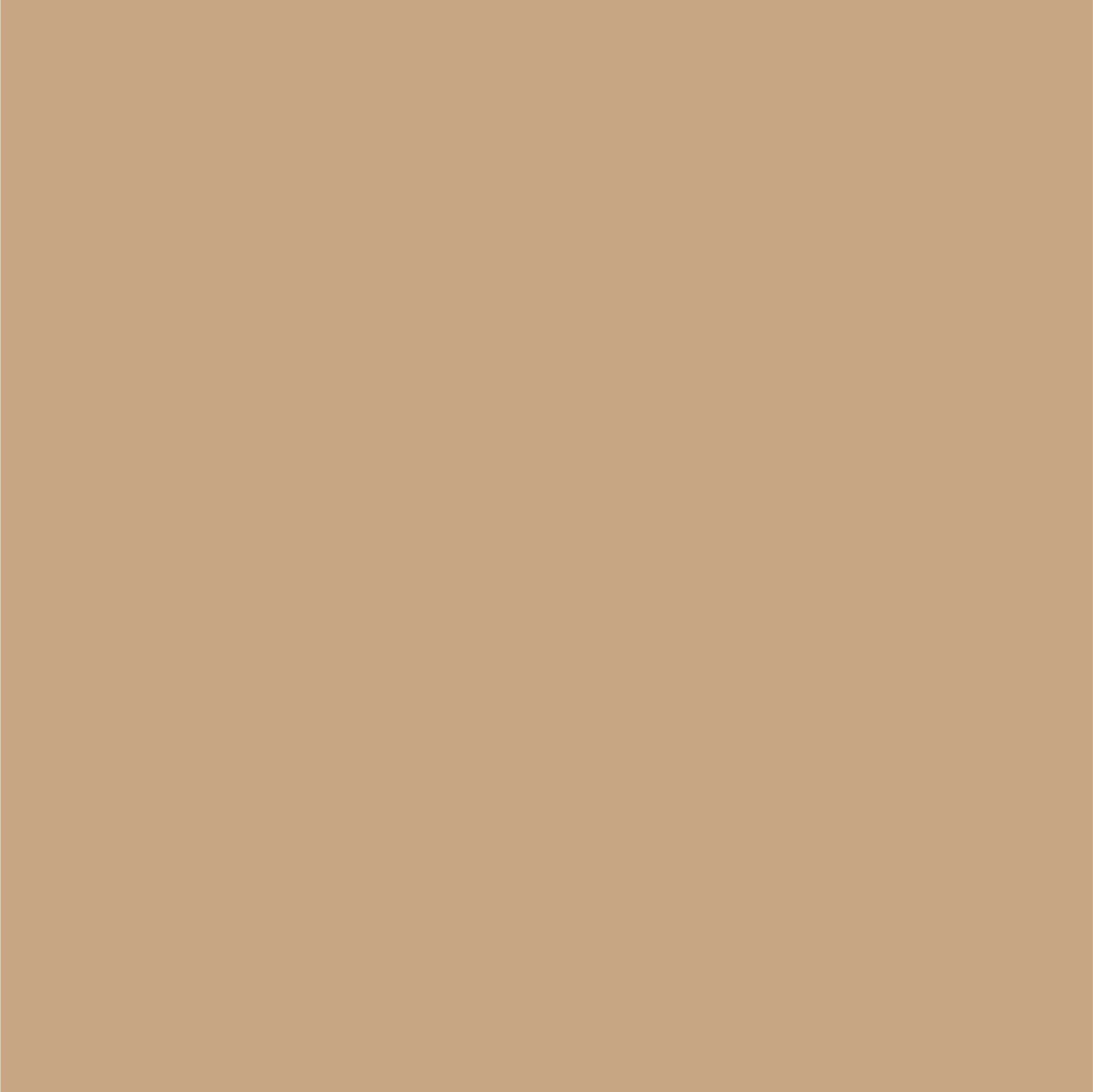 Dupli-Color Ebfm03167 Perfect Match Automotive Spray, Ford Mocha Frost Metallic, Dd - 8 Oz. Aerosol Can
