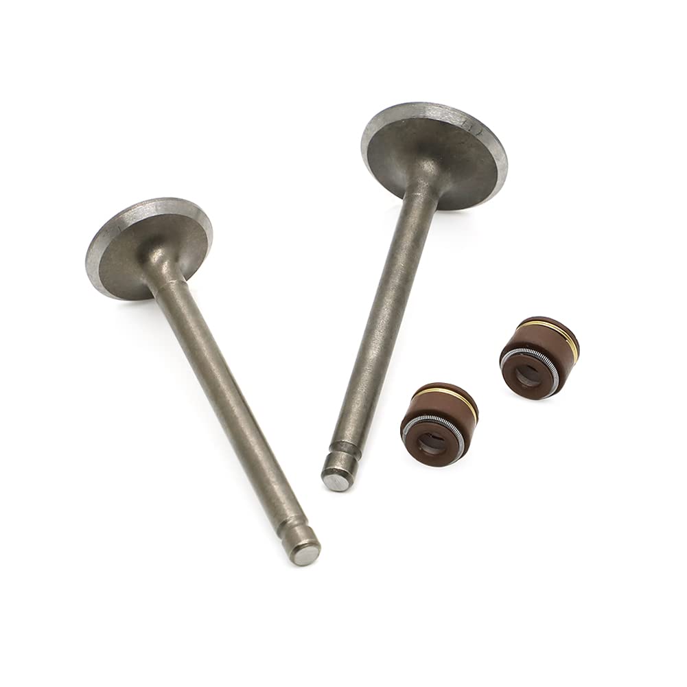 Autovic Valve Set Intake Exhaust Valves With Seals For Yamaha Atv Badger Realtree Hunter Champ Raptor Yfm80R Yfm80W Yfm100 Repla