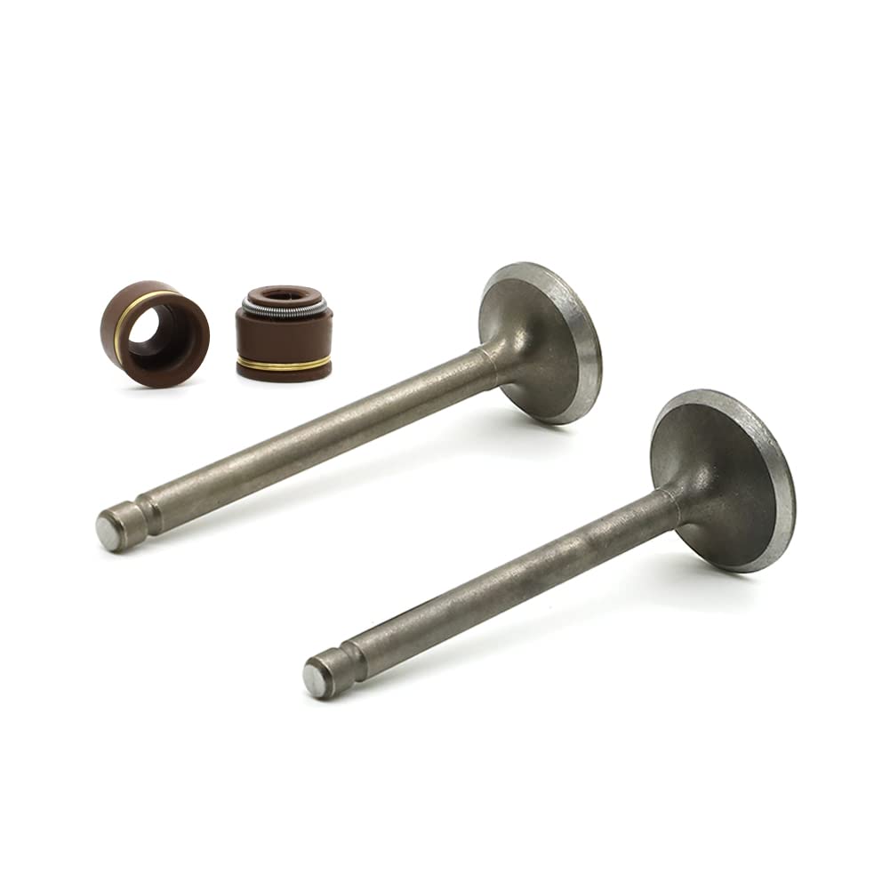 Autovic Valve Set Intake Exhaust Valves With Seals For Yamaha Atv Badger Realtree Hunter Champ Raptor Yfm80R Yfm80W Yfm100 Repla