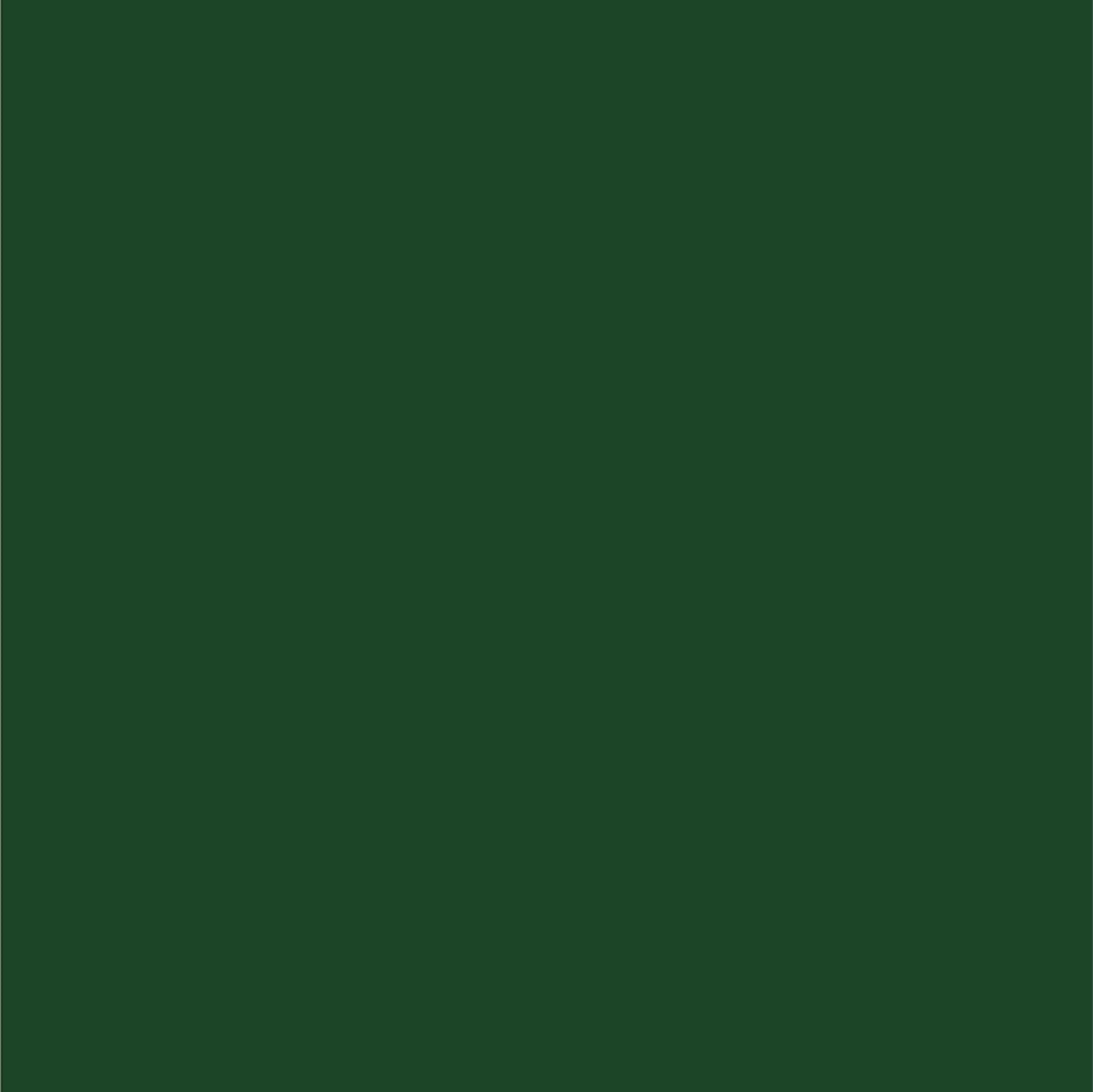 Dupli-Color Ebfm03507-6-Pk Perfect Match Automotive Spray, Ford Amazon Green, Su - 8 Oz. Aerosol Can