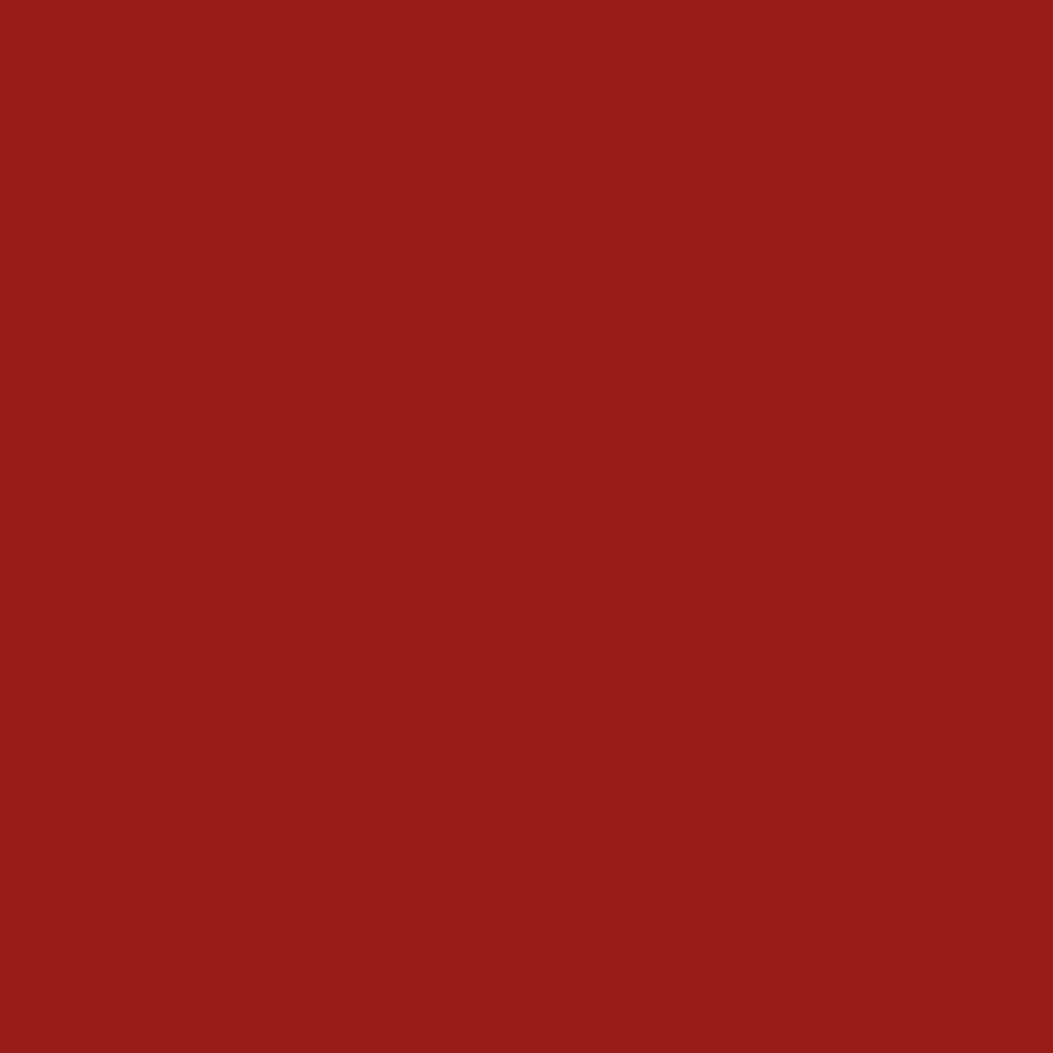 Rust-Oleum 248908 Automotive High Heat Spray Paint, 12 Ounce, Flat Red, 12 Ounce