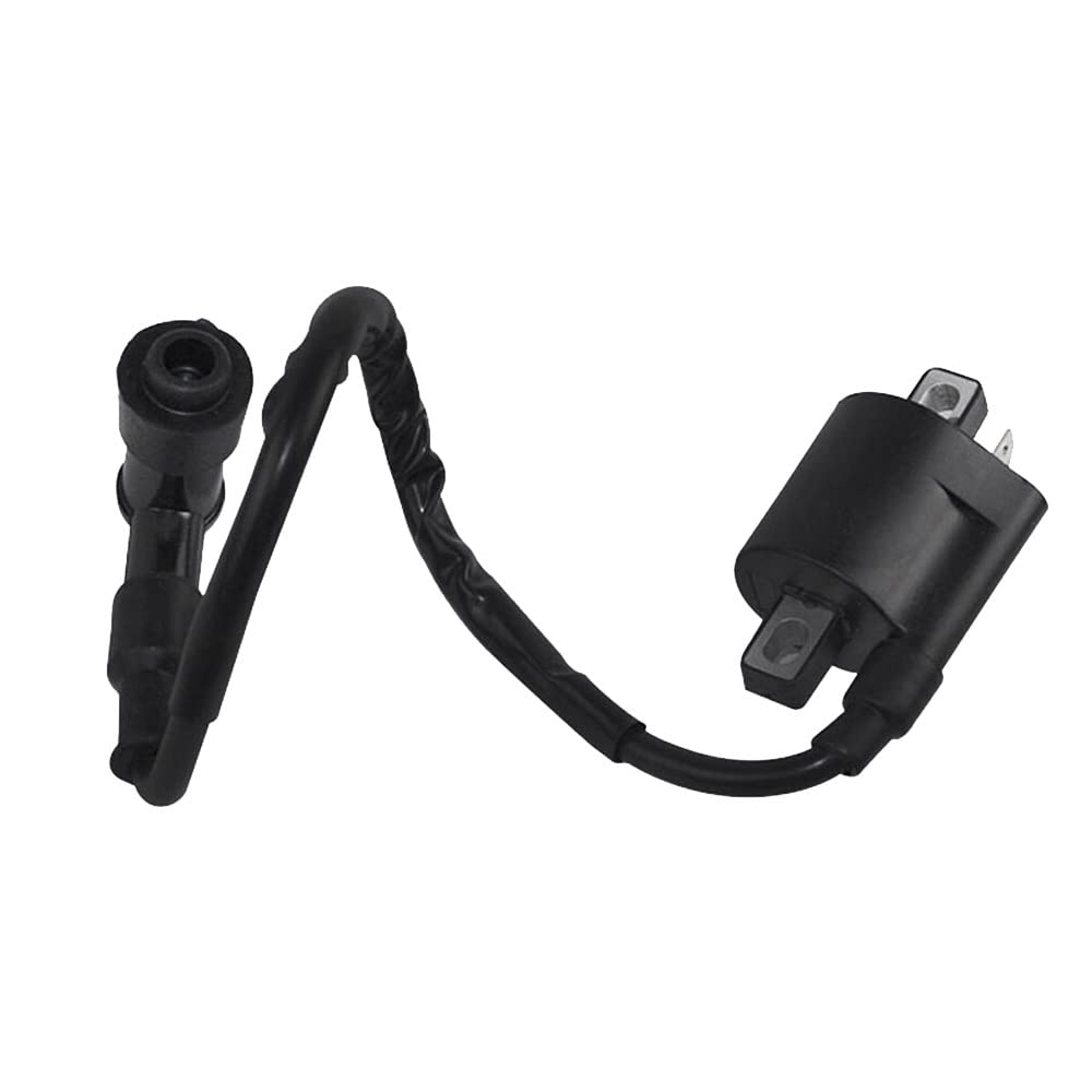 Windance High Performance Racing Ignition Coil For Yamaha Pw50 Pw80 Gy6 50Cc 125Cc 150Cc 200Cc D8Tc Taoto Motorcycle Atv Scooter