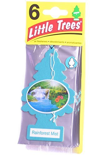 LITTLE TREES Air Freshener - Cardboard Hanging, Rainforest Mist, Pack of 6, 4 Count, Perfect for Car, Home & Office