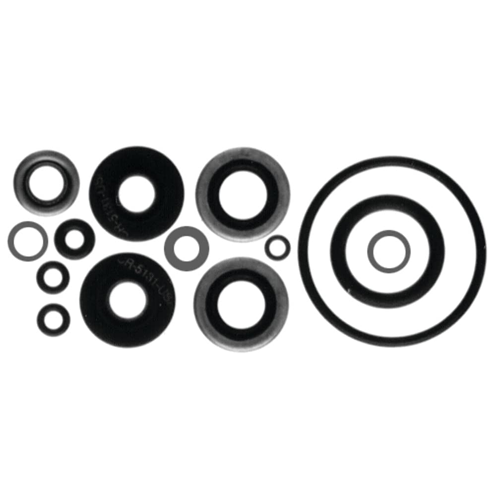 Sierra International 18-2656 Marine Lower Unit Seal Kit For Johnson/Evinrude Outboard Motor, White
