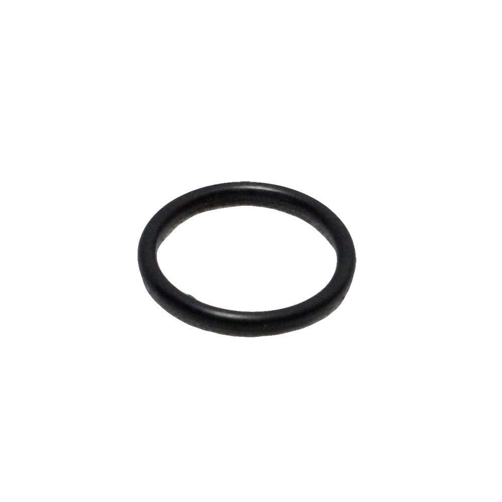 Polaris Ranger O-Ring Seal, 070 X .614, Genuine Oem Part 5812016, Qty 1