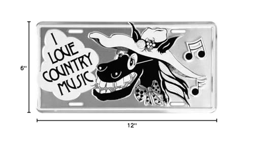 Signs 4 Fun Parody License Plate | I Love Country Music | 12    X 6    Decorative License Plate | Decoration Plate For Vehicle/W