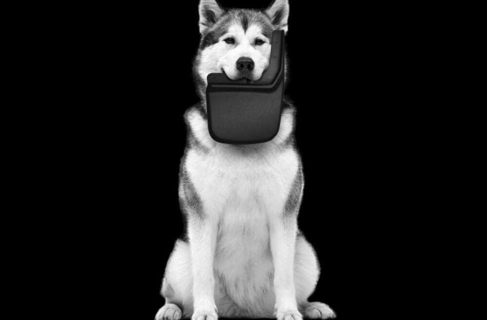 Husky Liner M.G. 56801