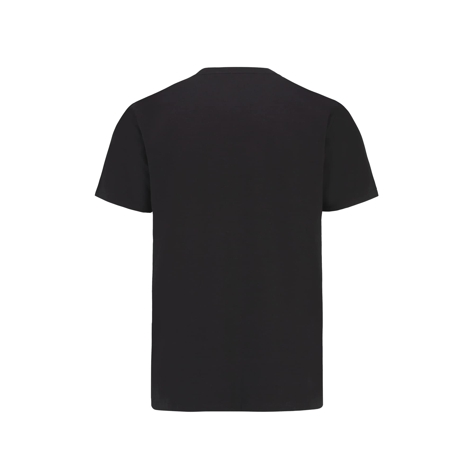 Mercedes Amg Petronas Formula One Team - Official Formula 1 Merchandise - Large Logo T-Shirt - Black - Xl