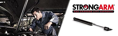 Strongarm 6156 Tailgate Lift Support, Pack Of 1, Black