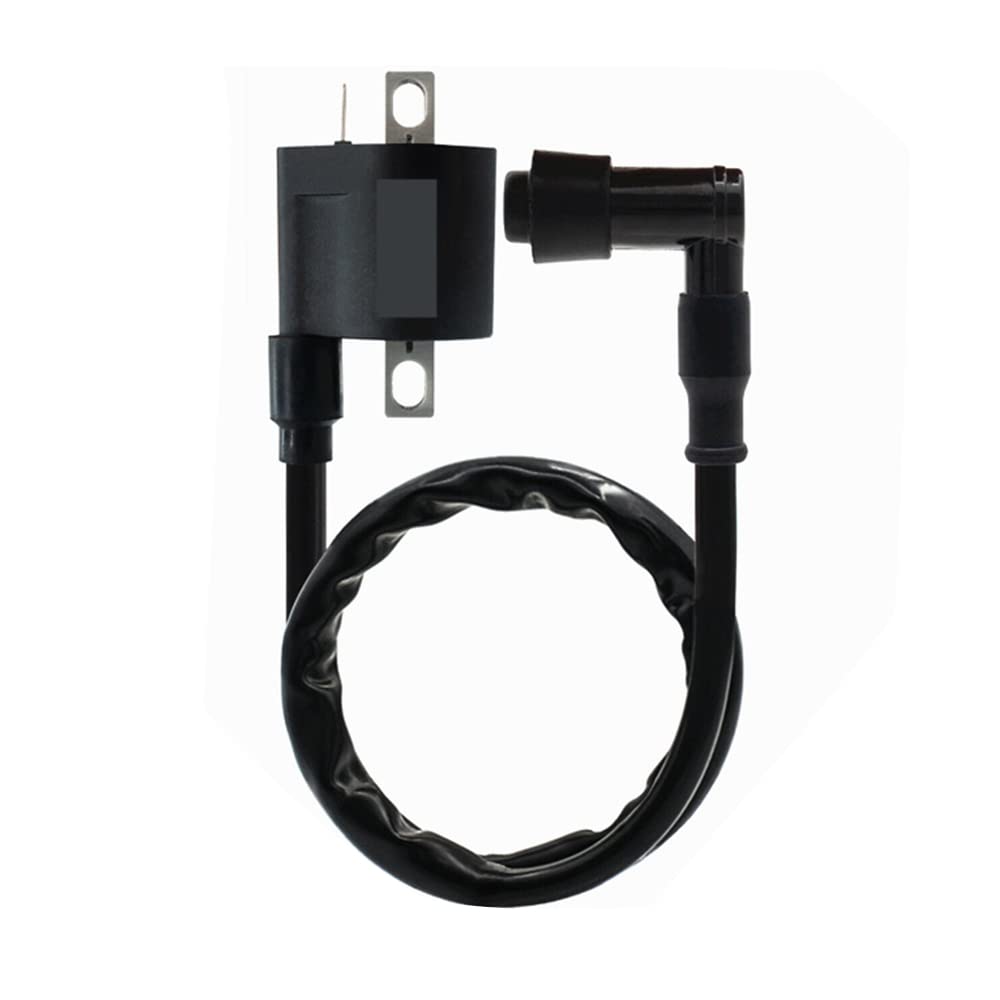 Windance High Performance Racing Ignition Coil For Yamaha Pw50 Pw80 Gy6 50Cc 125Cc 150Cc 200Cc D8Tc Taoto Motorcycle Atv Scooter