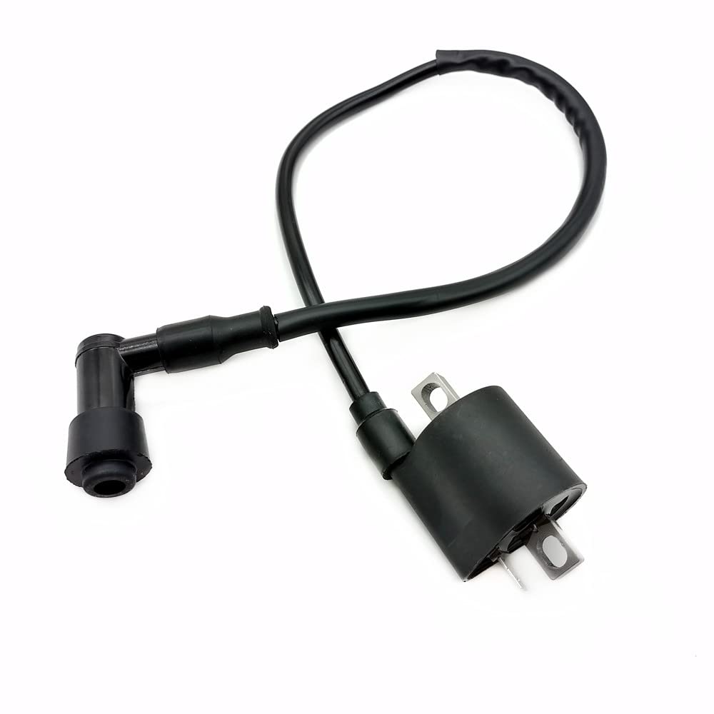 Ignition Coil Motorcycle Accessories for Kawasaki KX60 KX80 KX85 KX125 KDX200 CG125 CG150 CG200 CG250 for Yamaha PW 50 PW50 PW 8