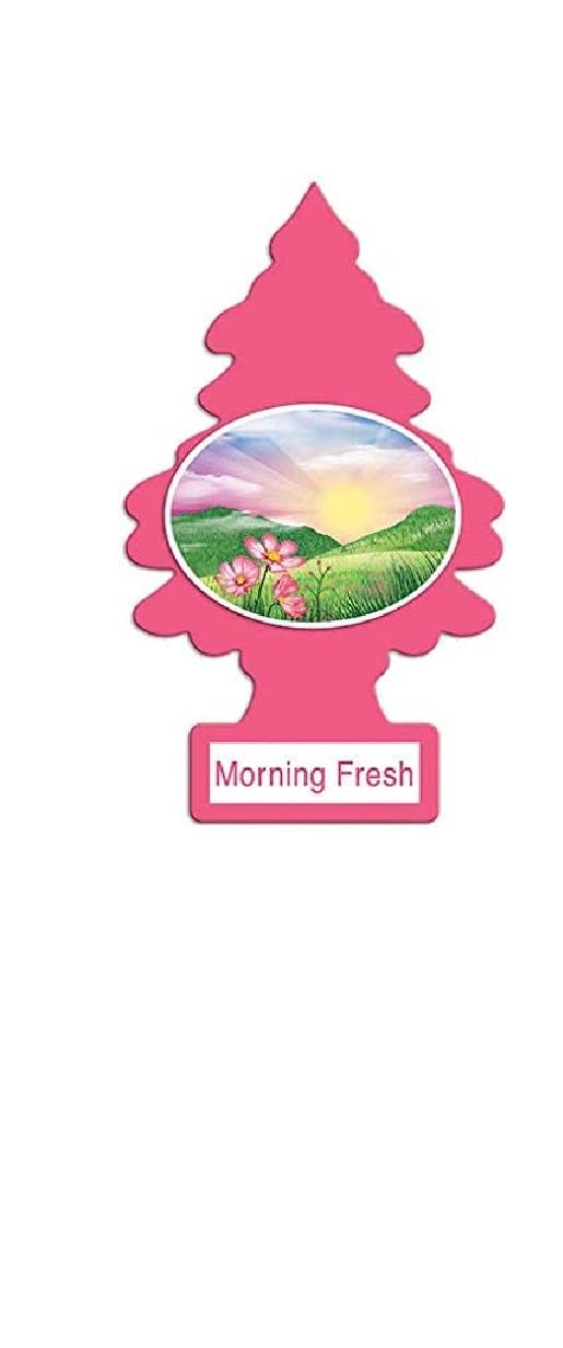 Little Tree New Car Air Freshner Single Pack