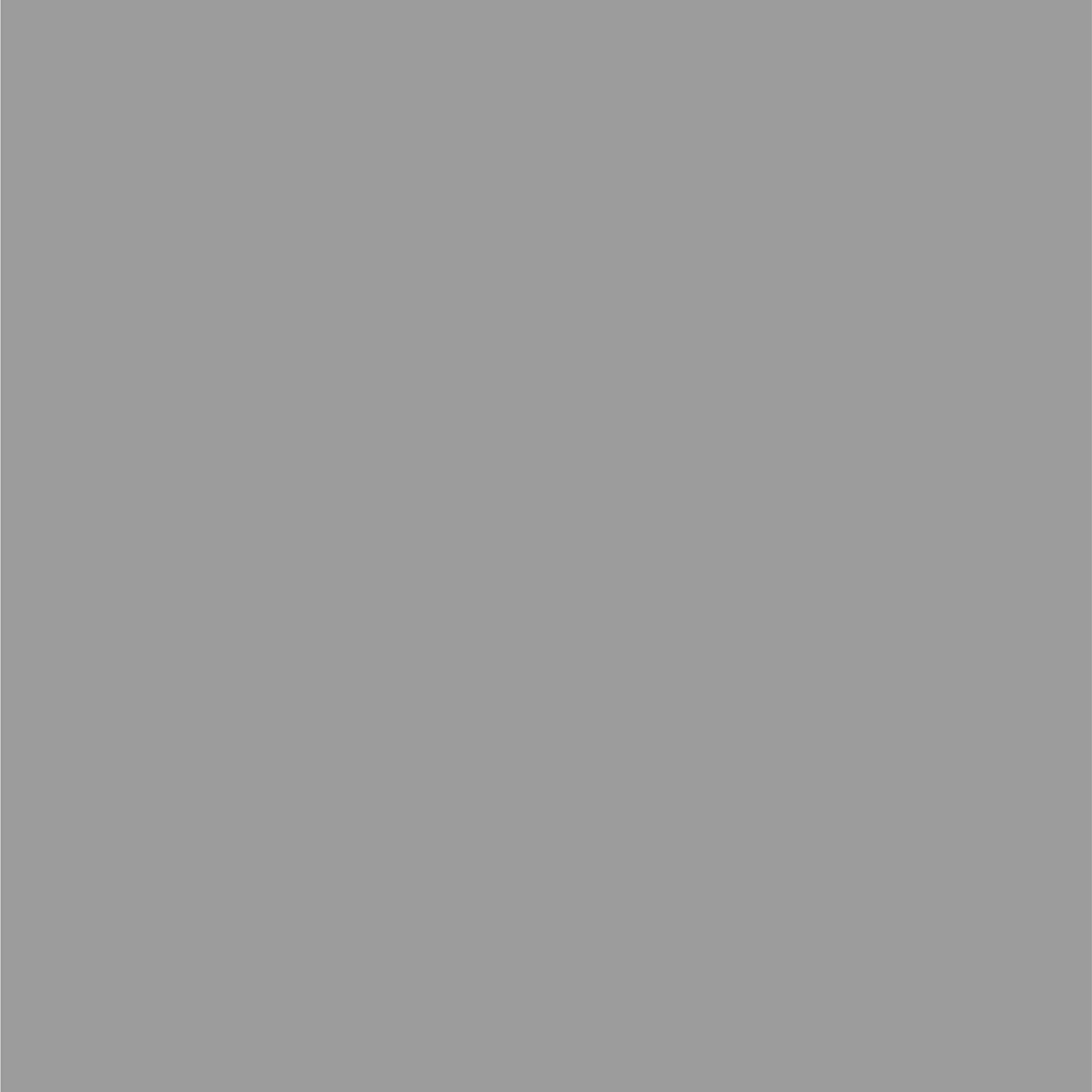 Dupli-Color Ebfm03837 Perfect Match Automotive Spray Paint - Ford Silver Metallic, J/1G - 8 Oz. Aerosol Can