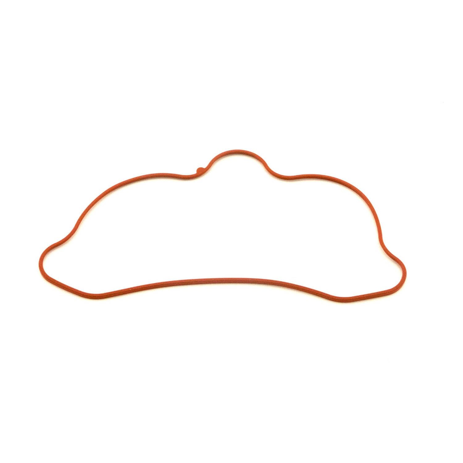 Polaris RZR Valve Cover Seal, Genuine OEM Part 5412836, Qty 1