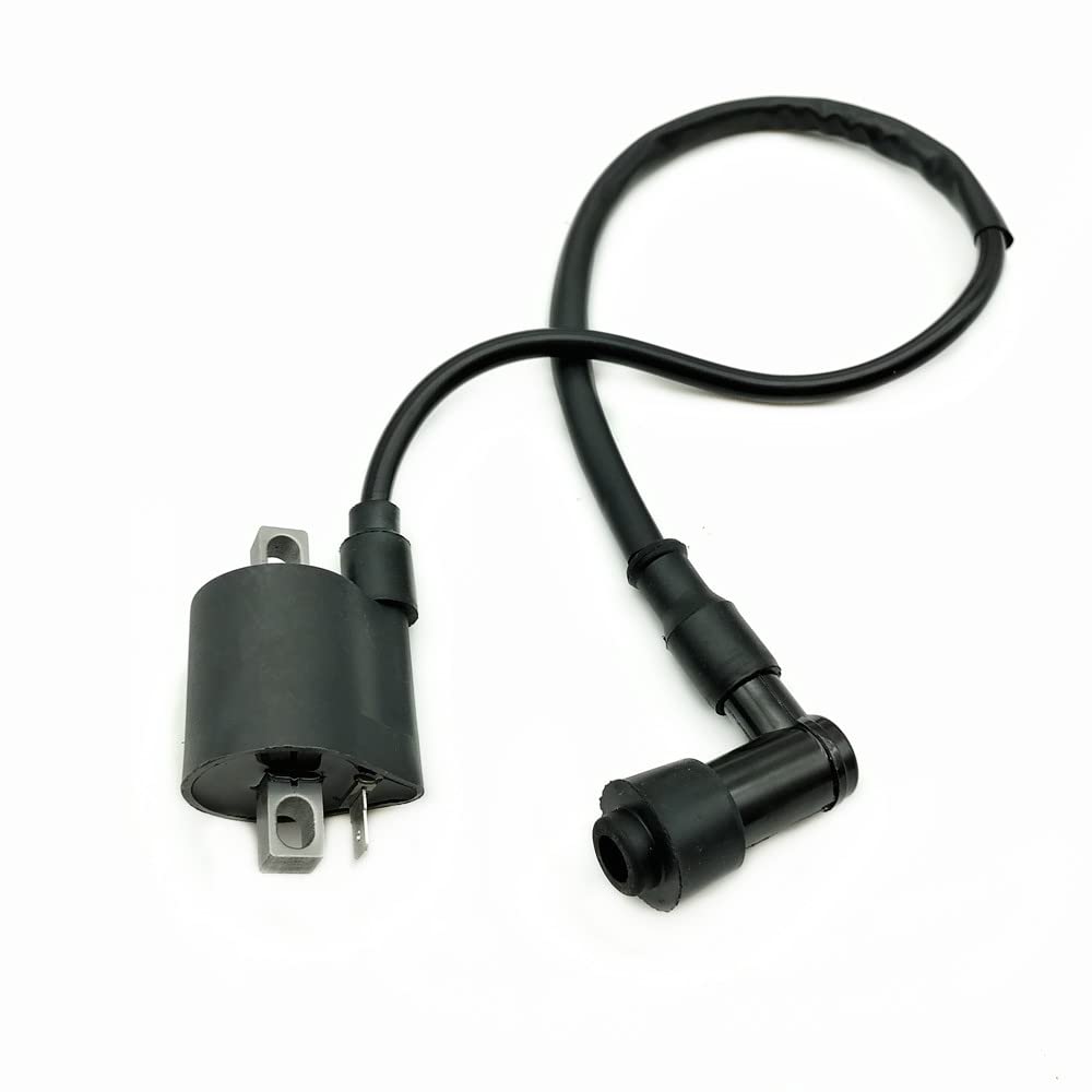 Ignition Coil Motorcycle Accessories for Kawasaki KX60 KX80 KX85 KX125 KDX200 CG125 CG150 CG200 CG250 for Yamaha PW 50 PW50 PW 8