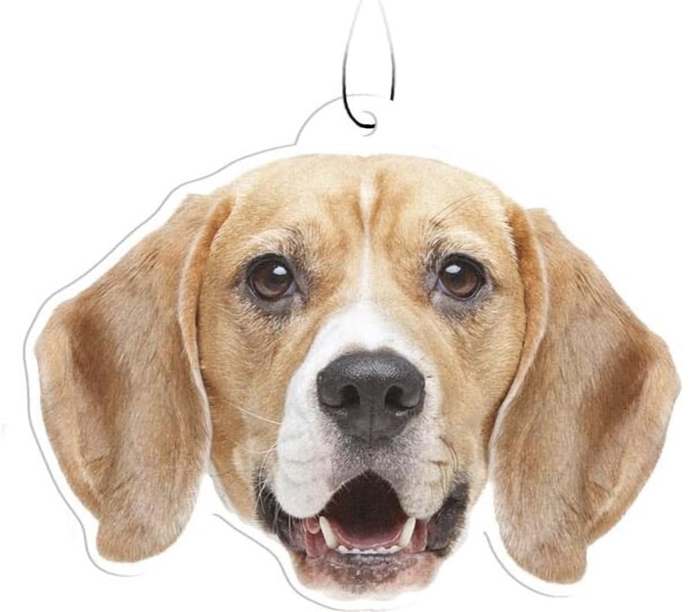 Spoontiques Beagle Air Freshener