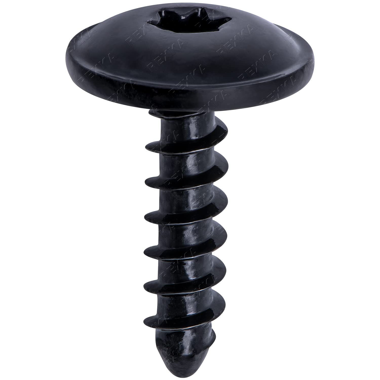 Rexka 20pcs M5-2.12 x 19mm T25 Torx Fender Liner Splash Guard Under Cover License Bracket Truss Head Tapping Screw Bolt Compatib