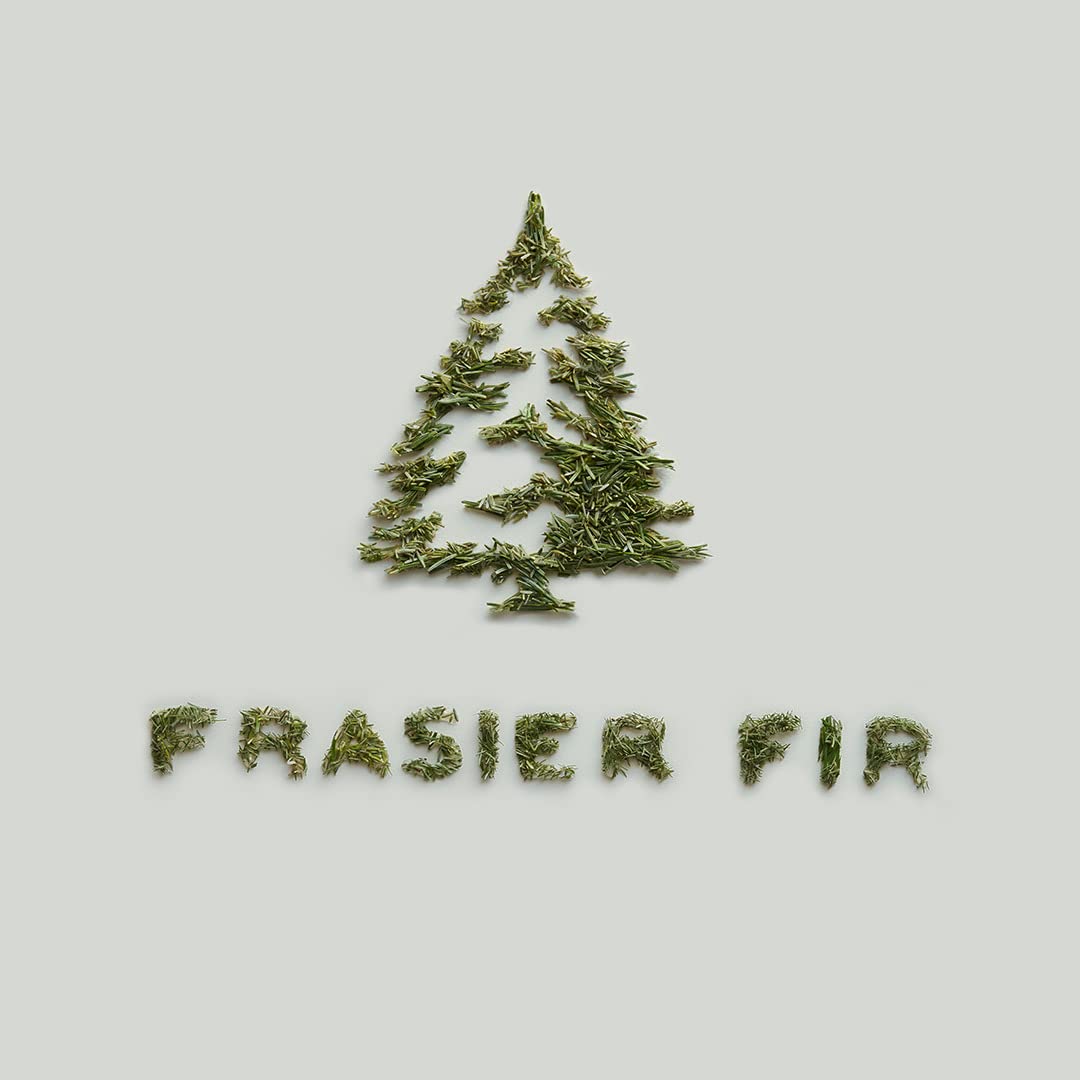 Thymes Frasier Fir Car Diffuser Refills - 4 Air Freshener Car Diffuser Reeds - Long-Lasting Car Air Freshener Refills With Fresh