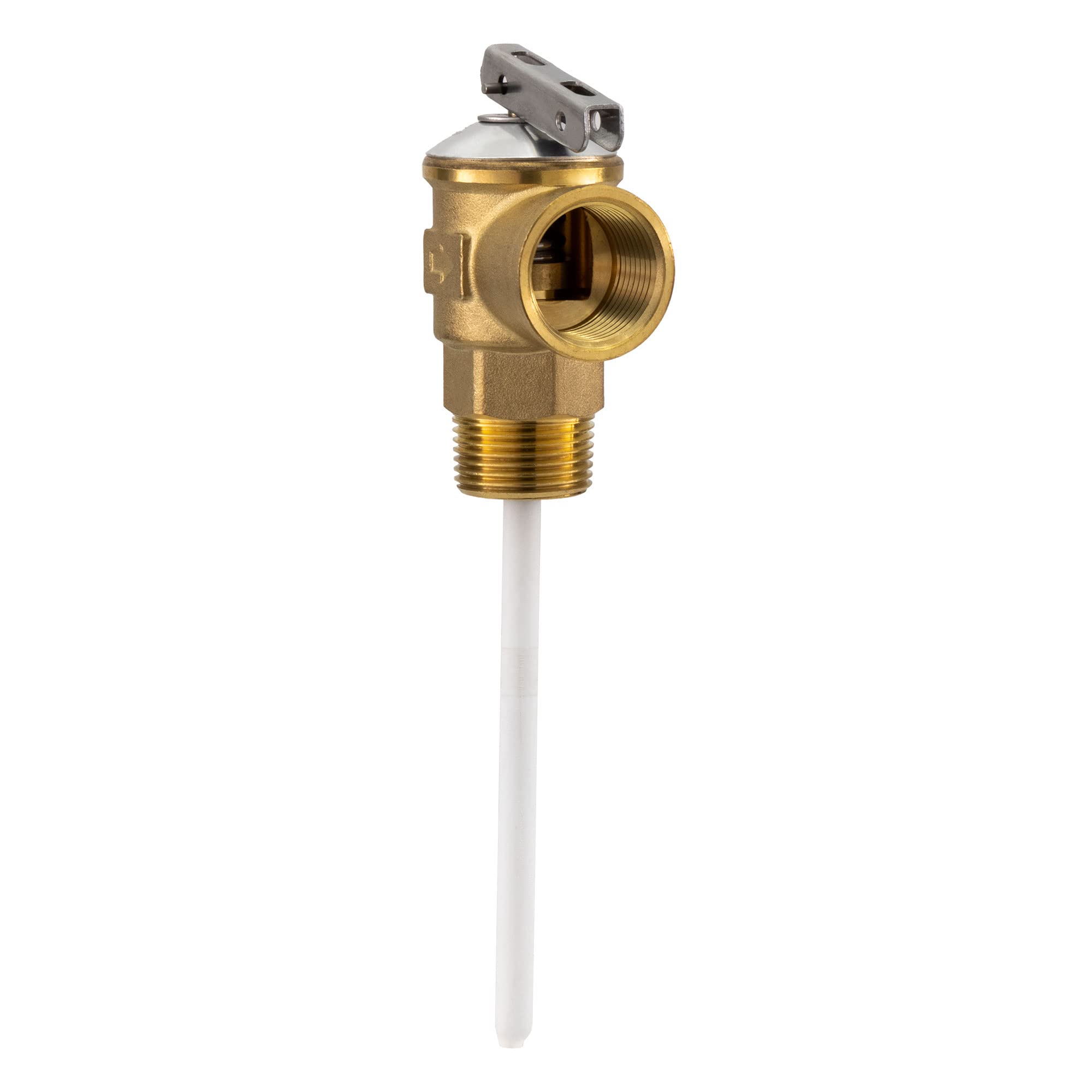 RecPro 3/4 RV Pressure Relief Valve with 4 Epoxy-Coated Probe
