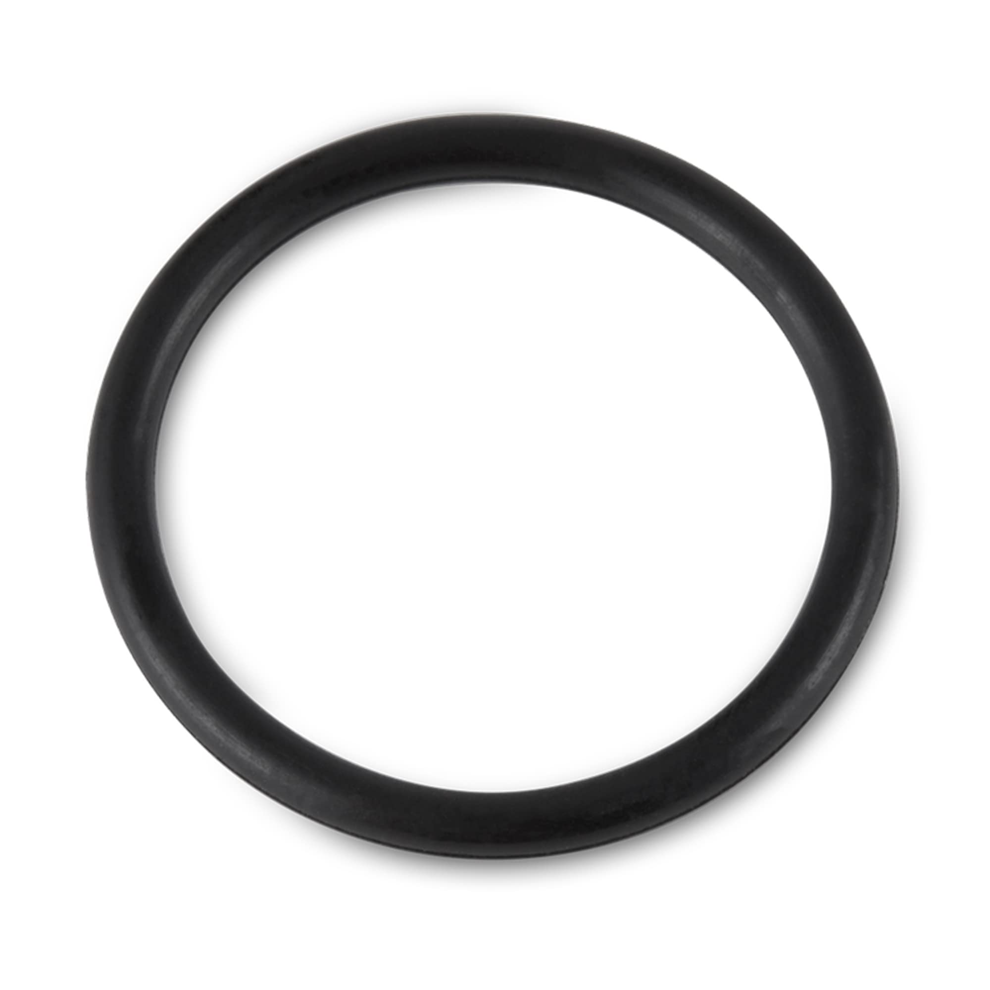 Intex 25003 1,500 Gph And Below Filter Pump Replacement Seals 10 Piece Pack