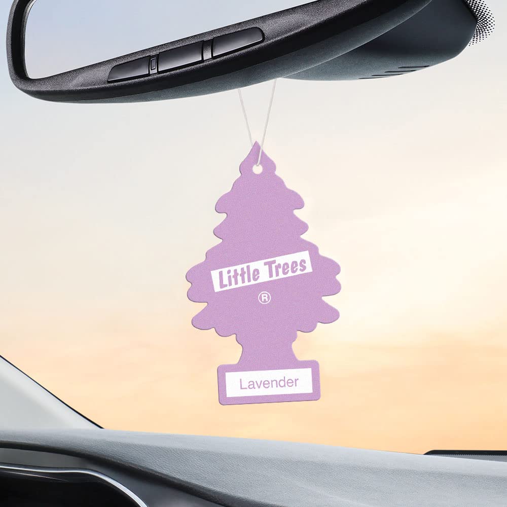 LITTLE TREES Lavender Air Fresheners - 24 Hanging Car Fresheners, Long Lasting Scent, 4 Count (Pack of 6)
