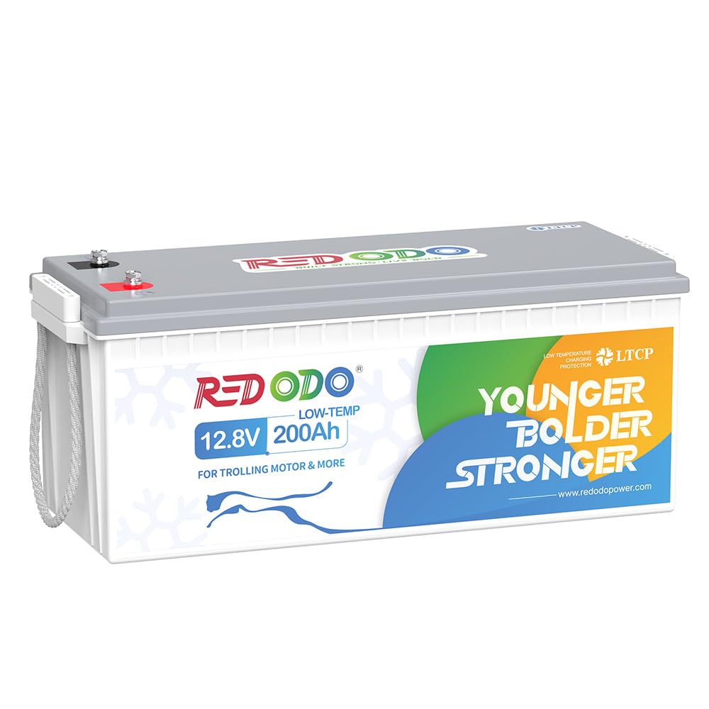 Redodo 12.8V 200Ah LiFePO4 Battery with Low Temp Cutoff, 2560Wh Lithium Battery with 100A BMS, Up to 15000 Cycles, Perfect for R
