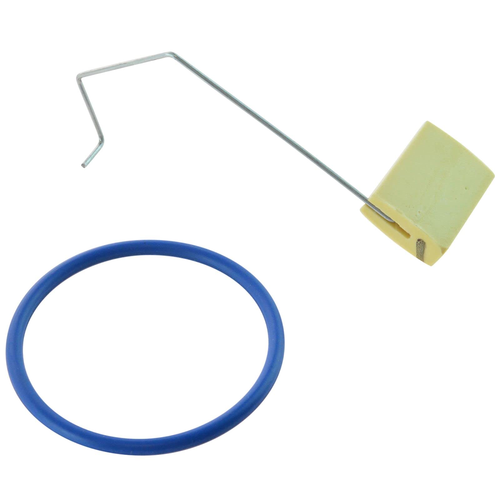 Delphi Fg0099 Fuel Pump Module