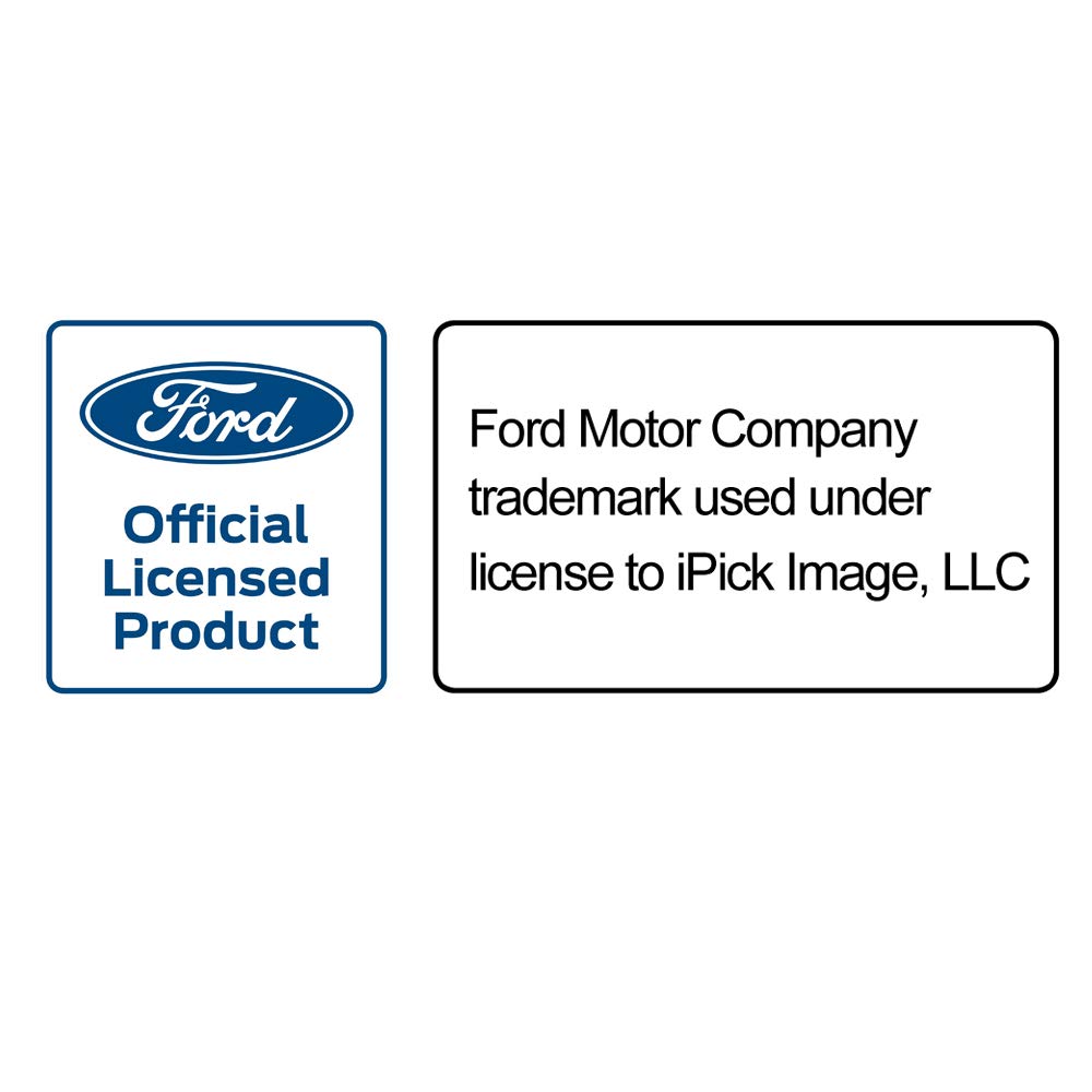 Ipick Image Compatible With Ford F-150 Raptor In Red Carbon Fiber Texture Black Pu Leather Strap Key Chain