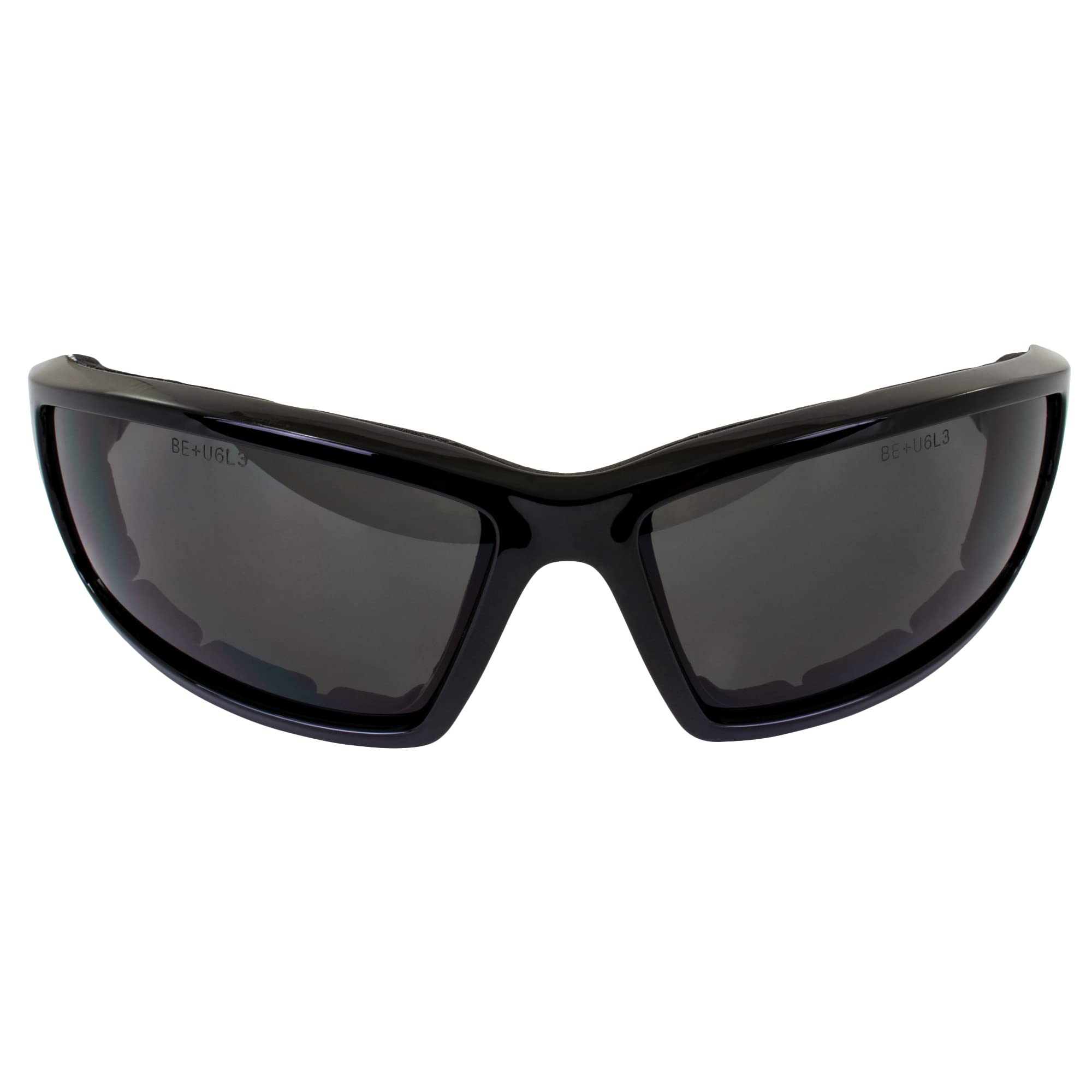 Birdz Eyewear Swoop Anti-Fog Padded Motorcycle Sunglasses Riding Glasses Black Frame Lenses for Day & Night ANSI Z87 .1 (Clear/S
