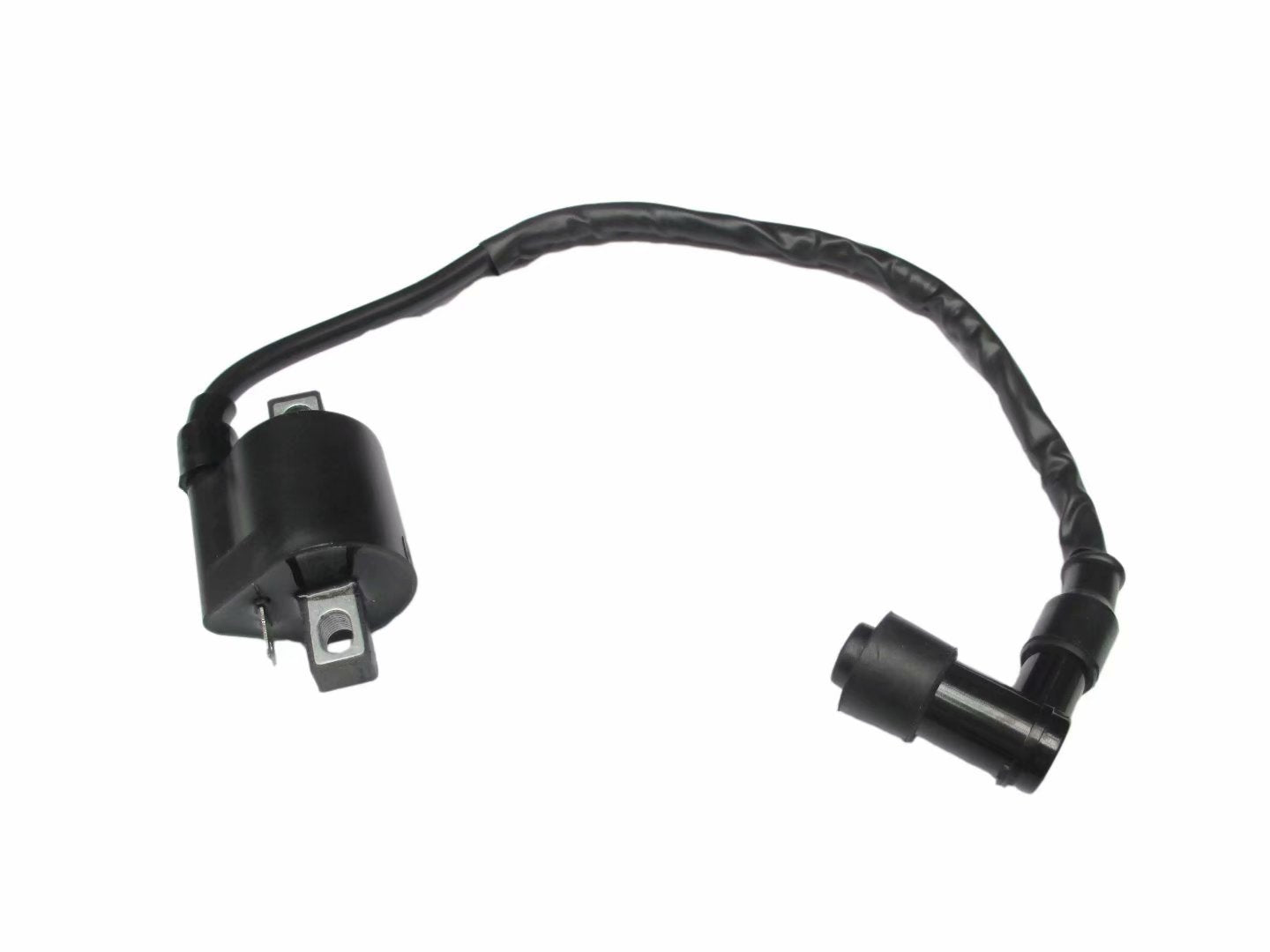 Ignition Coil For Yamaha Atv Champ 100 Yfm100