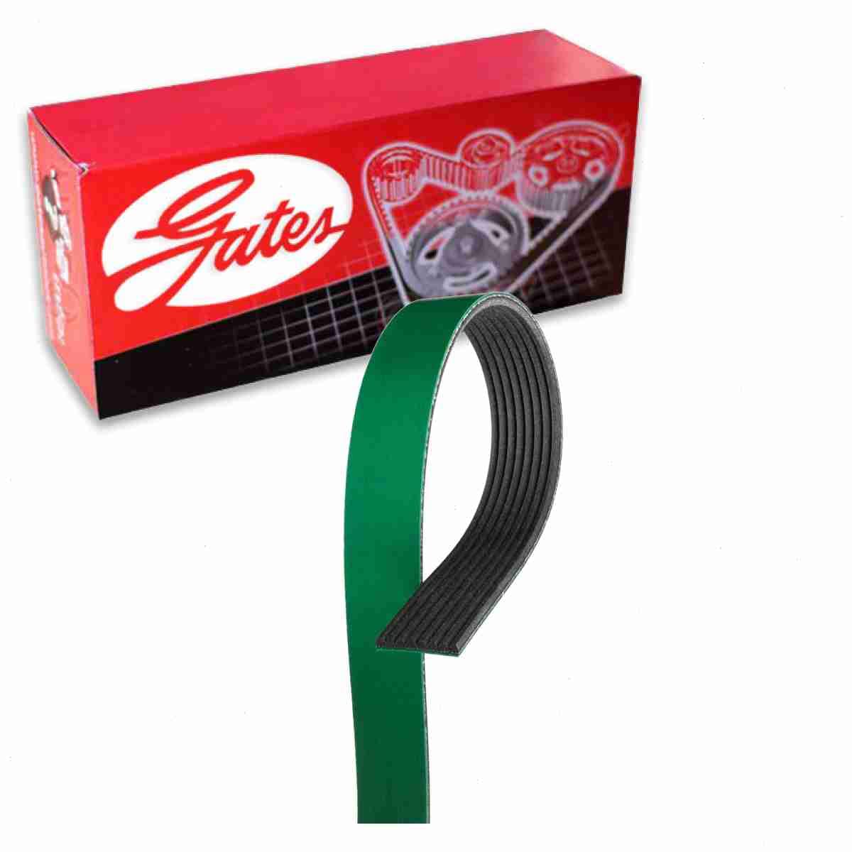 Gates FleetRunner Micro-V Serpentine Belt compatible with Ram 3500 6.7L L6 2013-2018