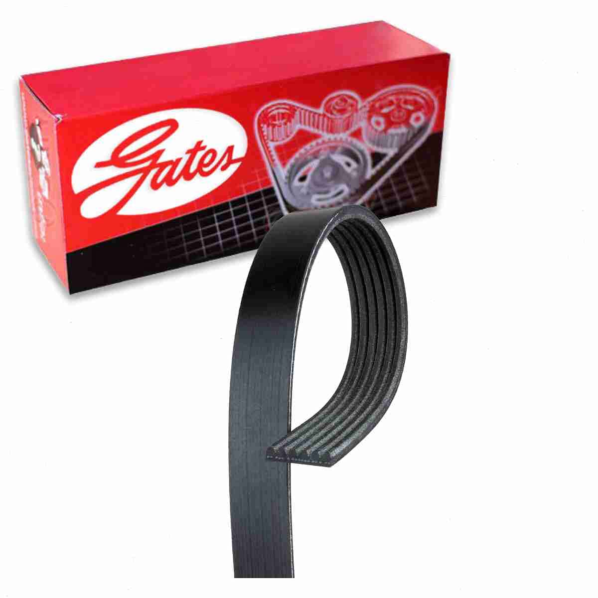 Gates Micro-V Serpentine Belt compatible with Jeep Liberty 3.7L V6 2002-2006