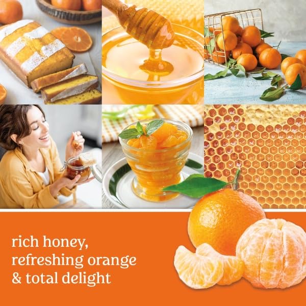 Yankee Candle Scent Plug Refill, Honey Clementine (Pack Of 4)