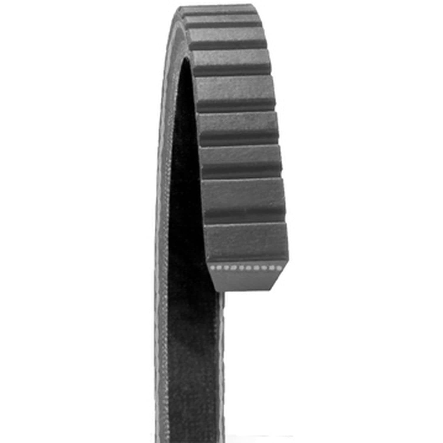 Dayco 17670 Fan Belts