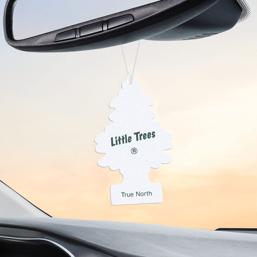 Little Trees Air Fresheners Car Air Freshener. Hanging Tree Provides Long Lasting Scent For Auto Or Home. True North, 24 Air Fre