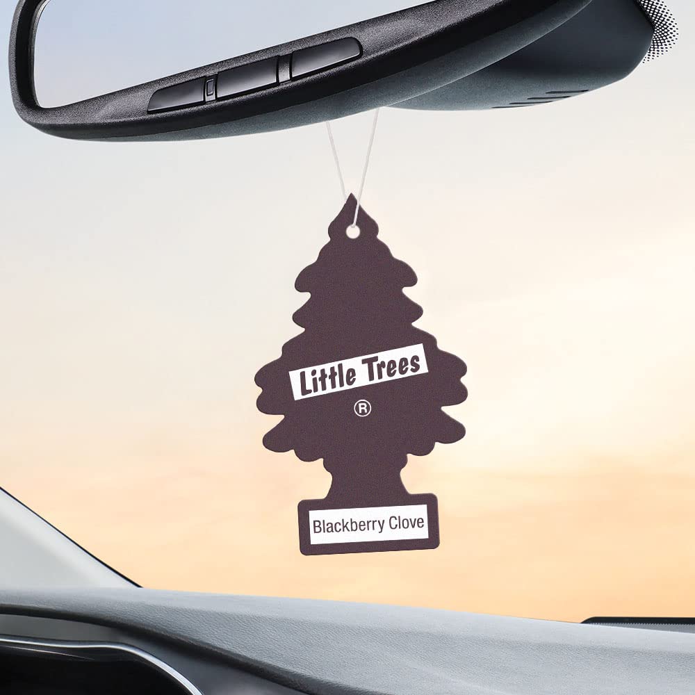 LITTLE TREES Car Air Freshener - Blackberry Clove, 4 Count (Pack of 6) - Long Lasting Scent for Auto or Home, Model U6P-67343-